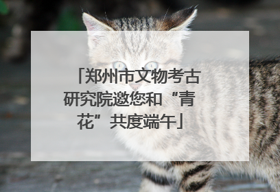郑州市文物考古研究院邀您和“青花”共度端午