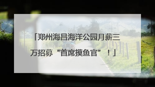 郑州海昌海洋公园月薪三万招募“首席摸鱼官”！