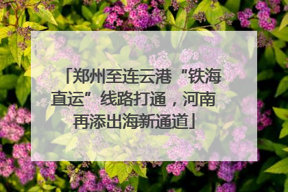郑州至连云港“铁海直运”线路打通，河南再添出海新通道