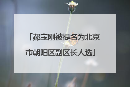 郝宝刚被提名为北京市朝阳区副区长人选