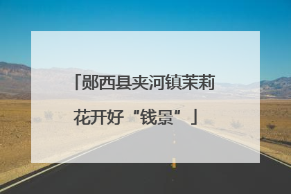 郧西县夹河镇茉莉花开好“钱景”