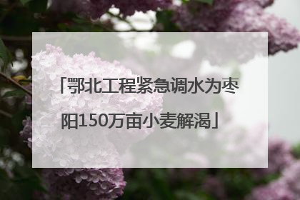 鄂北工程紧急调水为枣阳150万亩小麦解渴