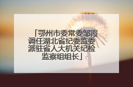 鄂州市委常委邹霞调任湖北省纪委监委派驻省人大机关纪检监察组组长