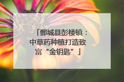 鄄城县彭楼镇：中草药种植打造致富“金钥匙”