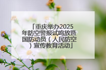 重庆举办2025年防空警报试鸣放暨国防动员（人民防空）宣传教育活动
