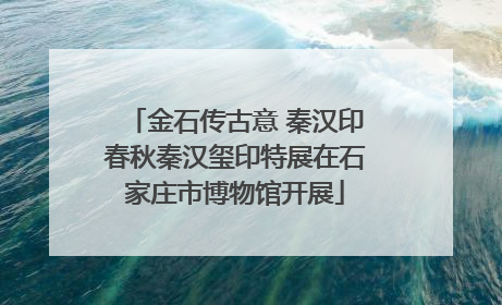 金石传古意 秦汉印春秋秦汉玺印特展在石家庄市博物馆开展