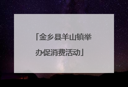 金乡县羊山镇举办促消费活动