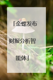 金蝶发布财报分析智能体