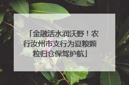 金融活水润沃野！农行汝州市支行为夏粮颗粒归仓保驾护航