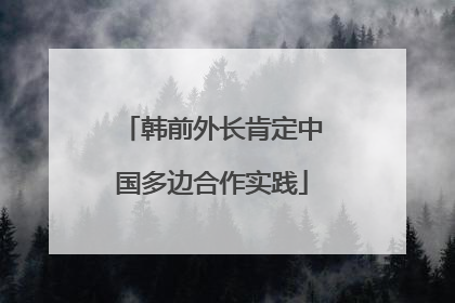 韩前外长肯定中国多边合作实践