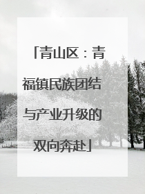 青山区：青福镇民族团结与产业升级的双向奔赴