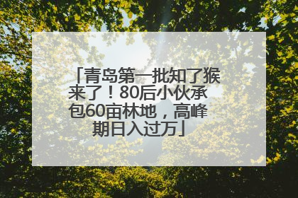 青岛第一批知了猴来了！80后小伙承包60亩林地，高峰期日入过万