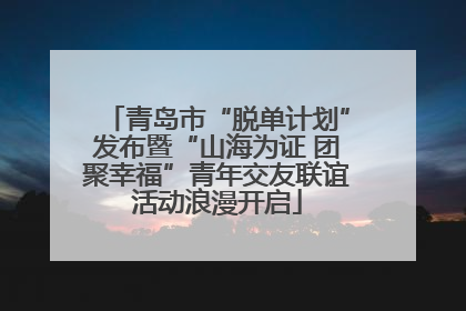 青岛市“脱单计划”发布暨“山海为证 团聚幸福”青年交友联谊活动浪漫开启