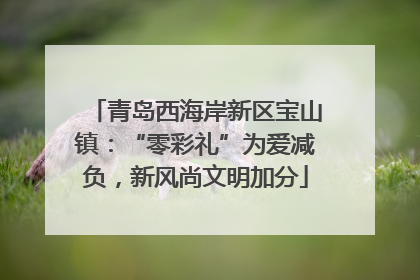 青岛西海岸新区宝山镇：“零彩礼”为爱减负，新风尚文明加分