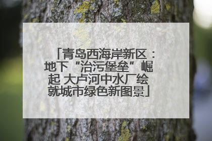 青岛西海岸新区：地下“治污堡垒”崛起 大卢河中水厂绘就城市绿色新图景