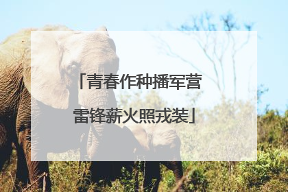 青春作种播军营 雷锋薪火照戎装