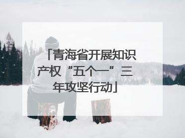 青海省开展知识产权“五个一”三年攻坚行动