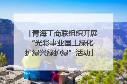 青海工商联组织开展“光彩事业国土绿化·扩绿兴绿护绿”活动