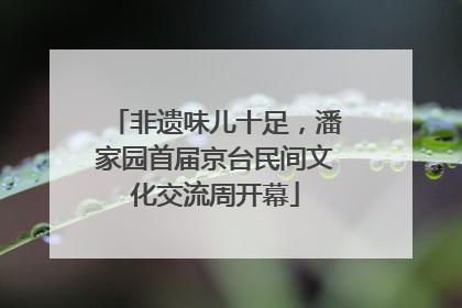 非遗味儿十足，潘家园首届京台民间文化交流周开幕