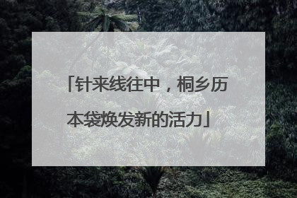 针来线往中，桐乡历本袋焕发新的活力