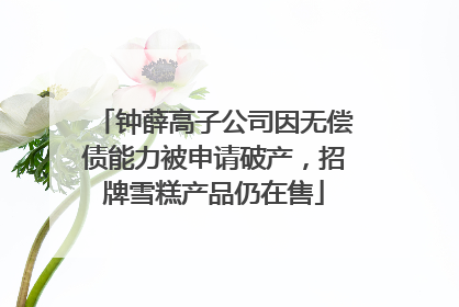 钟薛高子公司因无偿债能力被申请破产，招牌雪糕产品仍在售