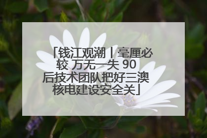 钱江观潮丨毫厘必较 万无一失 90后技术团队把好三澳核电建设安全关