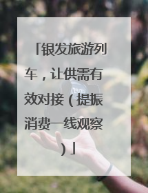 银发旅游列车，让供需有效对接（提振消费一线观察）