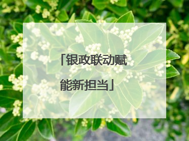 银政联动赋能新担当