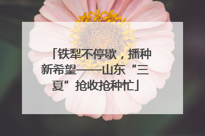铁犁不停歇，播种新希望——山东“三夏”抢收抢种忙