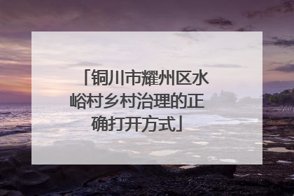 铜川市耀州区水峪村乡村治理的正确打开方式