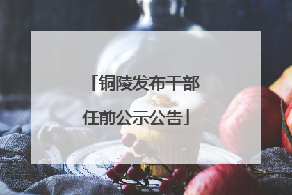铜陵发布干部任前公示公告
