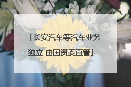 长安汽车等汽车业务独立 由国资委直管