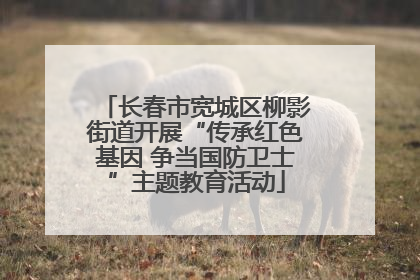 长春市宽城区柳影街道开展“传承红色基因 争当国防卫士”主题教育活动