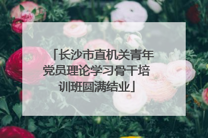 长沙市直机关青年党员理论学习骨干培训班圆满结业
