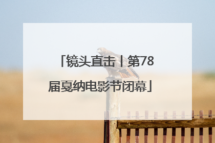 镜头直击丨第78届戛纳电影节闭幕