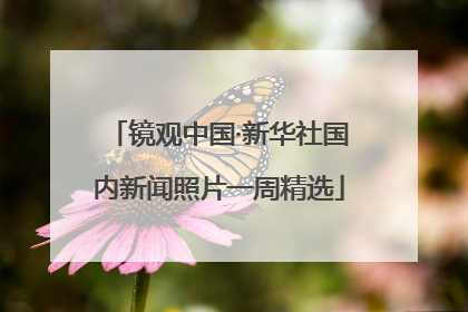 镜观中国·新华社国内新闻照片一周精选
