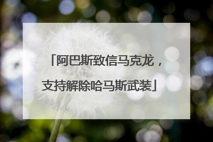 阿巴斯致信马克龙，支持解除哈马斯武装