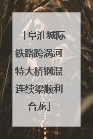 阜淮城际铁路跨涡河特大桥钢混连续梁顺利合龙