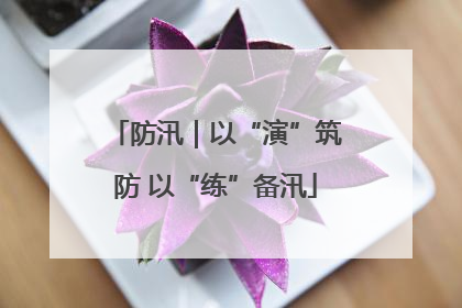 防汛｜以“演”筑防 以“练”备汛