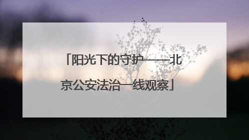 阳光下的守护——北京公安法治一线观察
