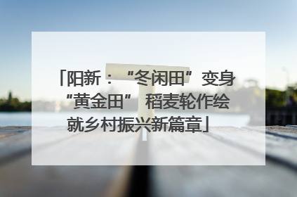 阳新：“冬闲田”变身“黄金田” 稻麦轮作绘就乡村振兴新篇章
