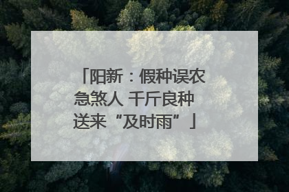 阳新：假种误农急煞人 千斤良种送来“及时雨”