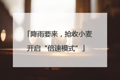 降雨要来，抢收小麦开启“倍速模式”