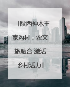 陕西神木王家沟村：农文旅融合 激活乡村活力