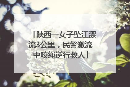 陕西一女子坠江漂流3公里，民警激流中咬绳逆行救人