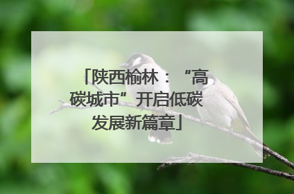 陕西榆林：“高碳城市”开启低碳发展新篇章