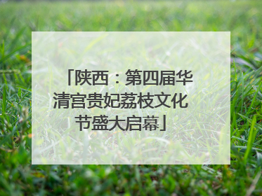 陕西：第四届华清宫贵妃荔枝文化节盛大启幕