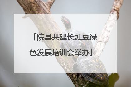院县共建长豇豆绿色发展培训会举办