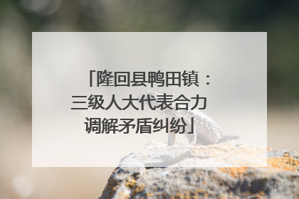 隆回县鸭田镇：三级人大代表合力调解矛盾纠纷