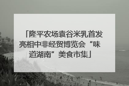 隆平农场袁谷米乳首发亮相中非经贸博览会“味道湖南”美食市集